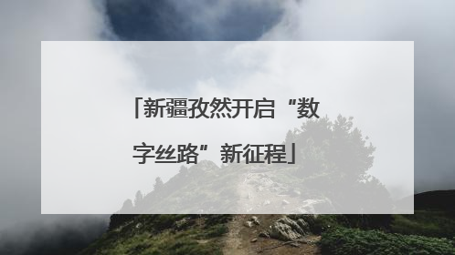 新疆孜然开启“数字丝路”新征程