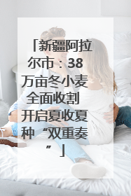 新疆阿拉尔市：38万亩冬小麦全面收割 开启夏收夏种“双重奏”