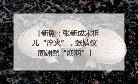 新剧：张新成宋祖儿“淬火”，张婧仪周翊然“焕羽”