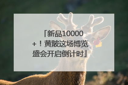 新品10000+！黄陂这场博览盛会开启倒计时