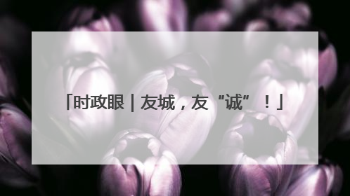 时政眼｜友城，友“诚”！