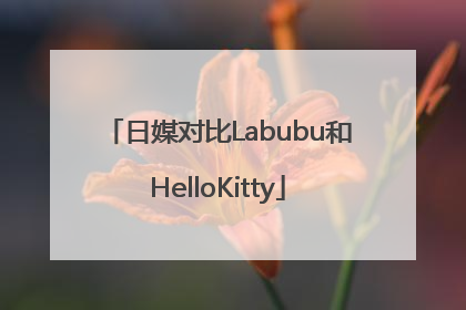 日媒对比Labubu和HelloKitty
