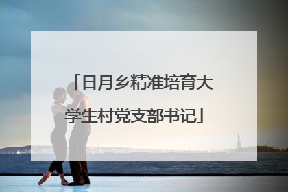 日月乡精准培育大学生村党支部书记