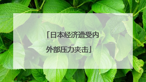 日本经济遭受内外部压力夹击