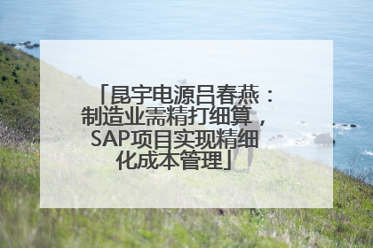 昆宇电源吕春燕：制造业需精打细算，SAP项目实现精细化成本管理