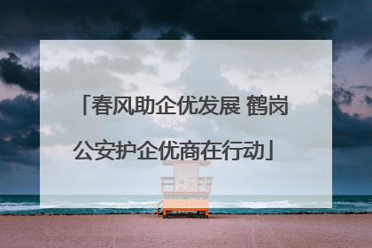 春风助企优发展 鹤岗公安护企优商在行动