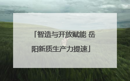 智造与开放赋能 岳阳新质生产力提速