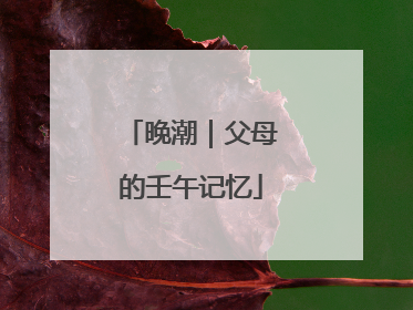 晚潮｜父母的壬午记忆