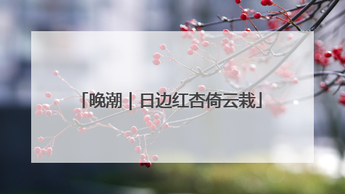 晚潮｜日边红杏倚云栽
