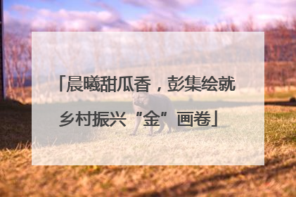 晨曦甜瓜香，彭集绘就乡村振兴“金”画卷