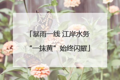 暴雨一线 江岸水务“一抹黄”始终闪耀