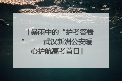 暴雨中的“护考答卷”——武汉新洲公安暖心护航高考首日