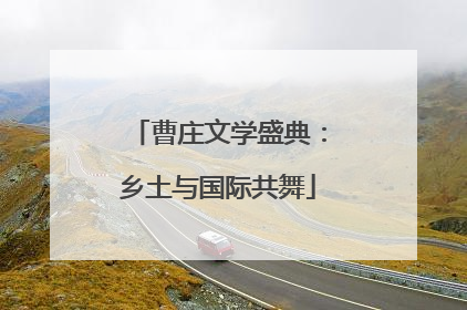 曹庄文学盛典：乡土与国际共舞