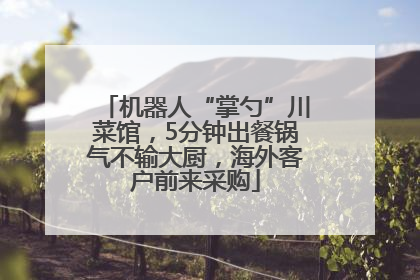 机器人“掌勺”川菜馆，5分钟出餐锅气不输大厨，海外客户前来采购