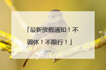 最新放假通知！不调休！不限行！