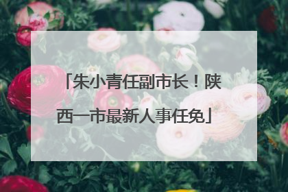 朱小青任副市长！陕西一市最新人事任免