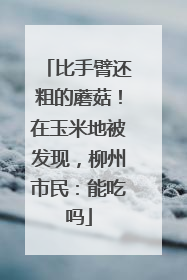 比手臂还粗的蘑菇！在玉米地被发现，柳州市民：能吃吗