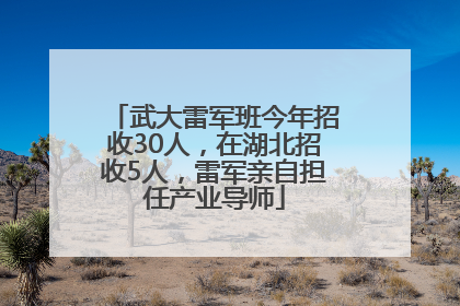 武大雷军班今年招收30人，在湖北招收5人，雷军亲自担任产业导师