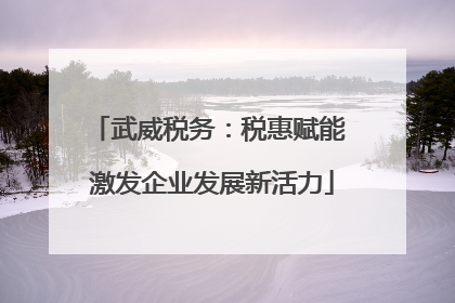 武威税务：税惠赋能 激发企业发展新活力