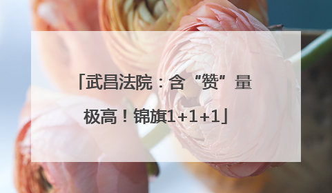 武昌法院：含“赞”量极高！锦旗1+1+1
