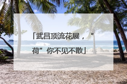 武昌顶流花展，“荷”你不见不散