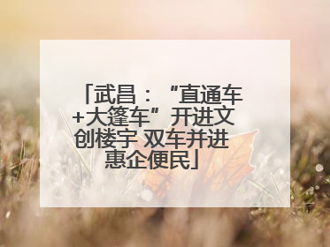 武昌：“直通车+大篷车”开进文创楼宇 双车并进惠企便民