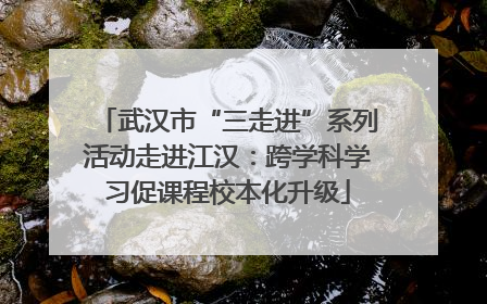 武汉市“三走进”系列活动走进江汉：跨学科学习促课程校本化升级