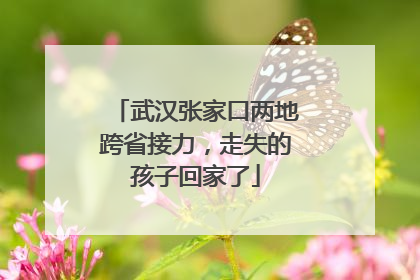 武汉张家口两地跨省接力，走失的孩子回家了