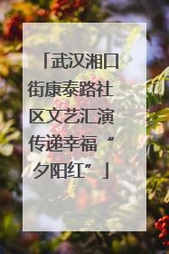 武汉湘口街康泰路社区文艺汇演传递幸福“夕阳红”