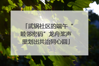 武锅社区的端午“睦邻密码”龙舟桨声里划出共治同心圆