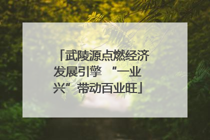 武陵源点燃经济发展引擎 “一业兴”带动百业旺