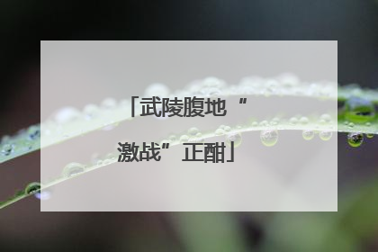 武陵腹地“激战”正酣