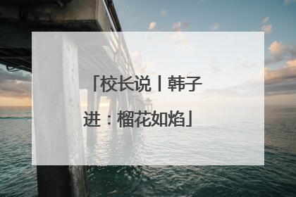 校长说丨韩子进：榴花如焰