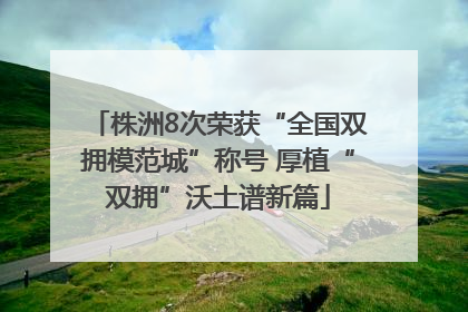 株洲8次荣获“全国双拥模范城”称号 厚植“双拥”沃土谱新篇