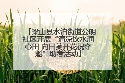 梁山县水泊街道公明社区开展“清凉饮水润心田 向日葵开花祝夺魁”助考活动