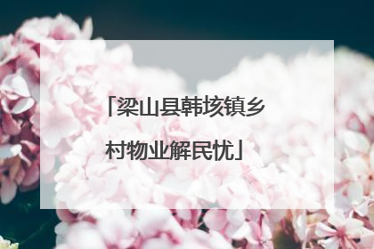 梁山县韩垓镇乡村物业解民忧