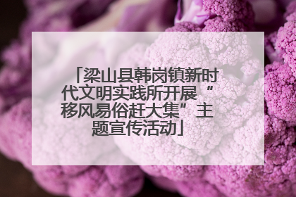 梁山县韩岗镇新时代文明实践所开展“移风易俗赶大集”主题宣传活动