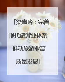 梁惠玲：完善现代旅游业体系 推动旅游业高质量发展