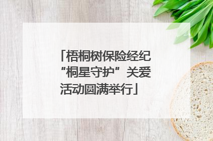 梧桐树保险经纪“桐星守护”关爱活动圆满举行