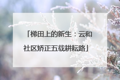 梯田上的新生：云和社区矫正五载耕耘路