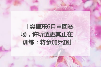 樊振东6月重回赛场，许昕透露其正在训练：将参加乒超