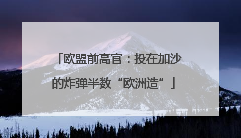 欧盟前高官：投在加沙的炸弹半数“欧洲造”