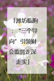 潍坊临朐：“三个导向”引领财会监督走深走实