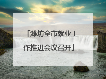 潍坊全市就业工作推进会议召开