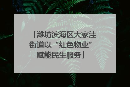 潍坊滨海区大家洼街道以“红色物业”赋能民生服务
