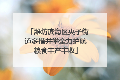 潍坊滨海区央子街道多措并举全力护航粮食丰产丰收