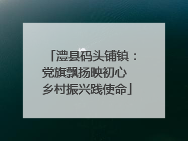 澧县码头铺镇：党旗飘扬映初心 乡村振兴践使命