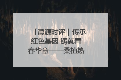 澧源时评｜传承红色基因 铸就青春华章——桑植热土上的青春长征