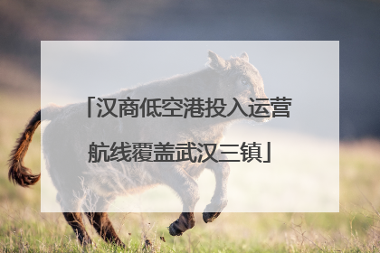 汉商低空港投入运营 航线覆盖武汉三镇
