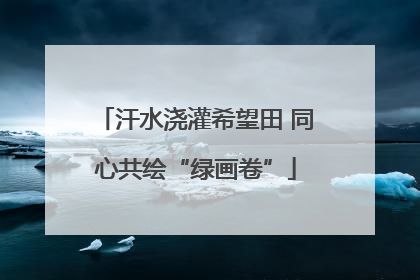 汗水浇灌希望田 同心共绘“绿画卷”